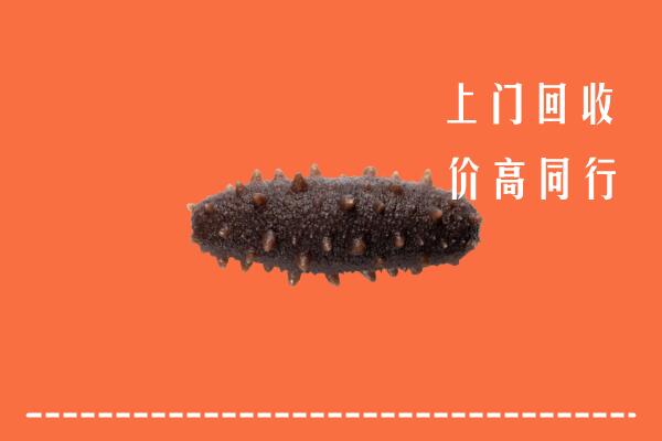 河源市回收海参