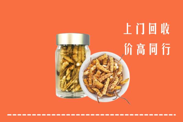 河源市回收冬虫夏草