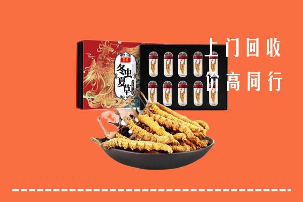 收购行情：河源市回收虫草